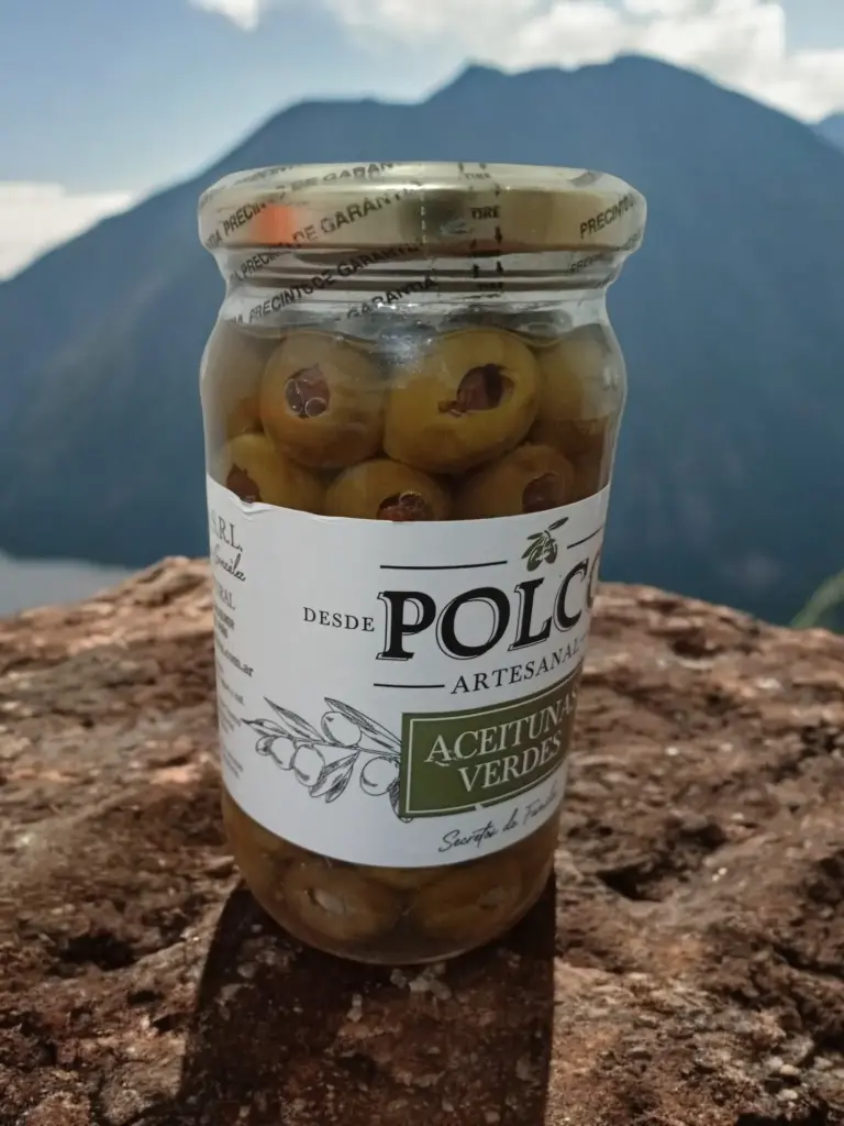 Aceitunas verdes rellenas de ALMENDRAS POLCO x 350g