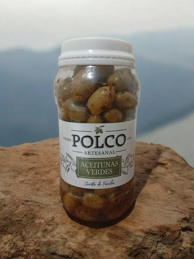 Aceitunas verdes condimentadas POLCO x 500 g