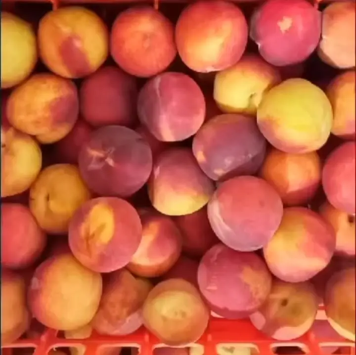 Mermelada don bosco, higos, frutilla , durazno , ciruela, alcayota