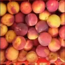 Mermelada don bosco, higos, frutilla , durazno , ciruela, alcayota