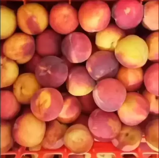 Mermelada don bosco, higos, frutilla , durazno , ciruela, alcayota
