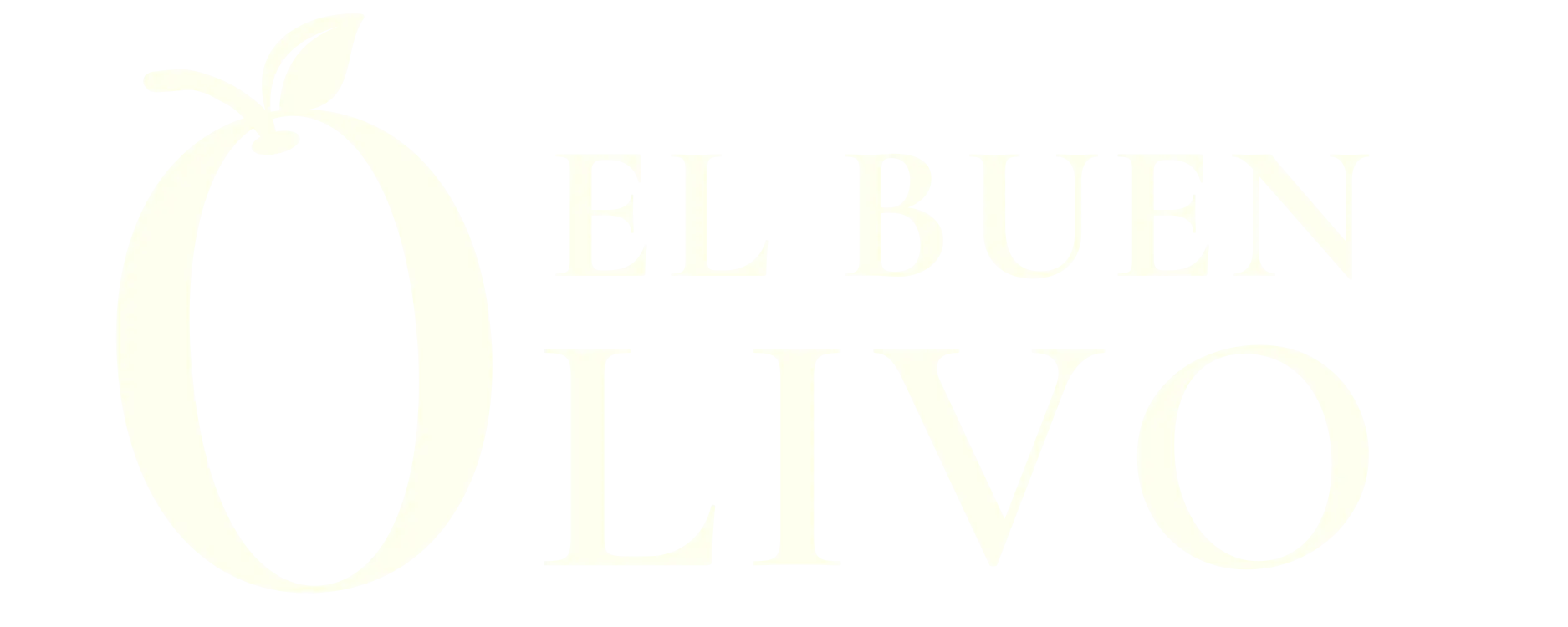 El buen Olivo